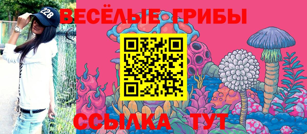 Псилоцибиновые грибы Psilocybe  Вход с VPN  Морозовск 